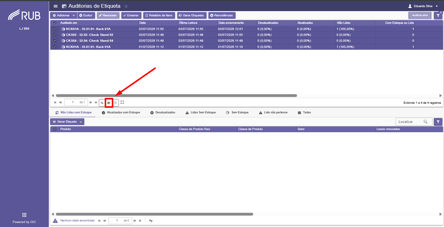 Auditoria de Etiqueta com icone de Excel destacado
